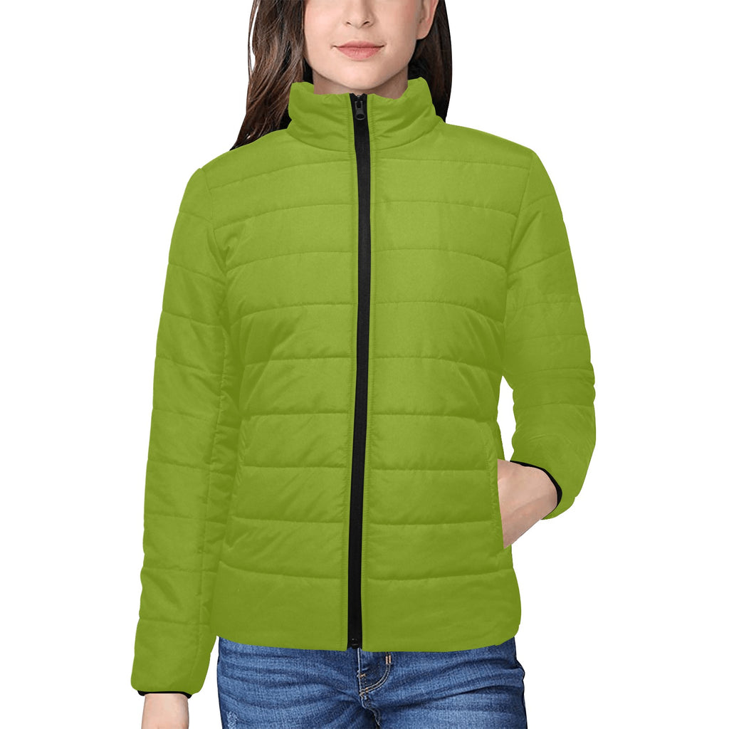 Women's stand collar padded jacket(H41)